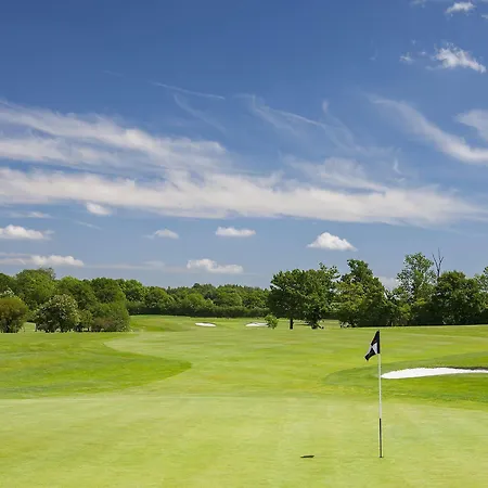 Forest Of Arden And Country Club 4*